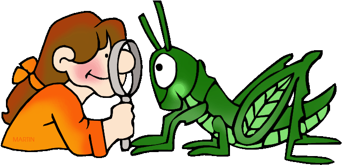 Animal Science Clip Art - Observation Clipart (711x354)