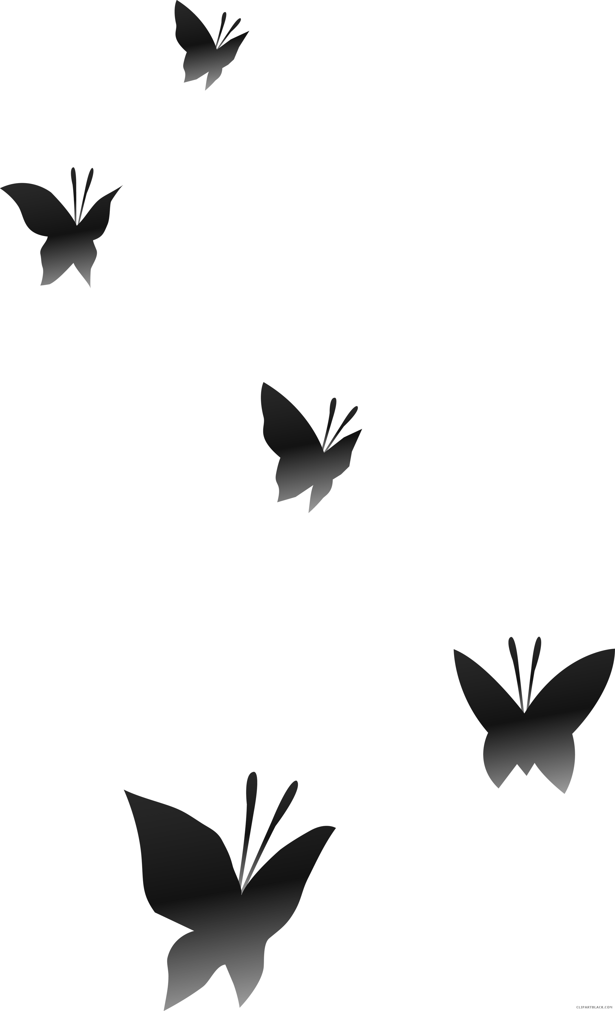 Butterfly Huge Animal Free Black White Clipart Images - Transparent Background Butterflies Clipart Png (2128x3500)