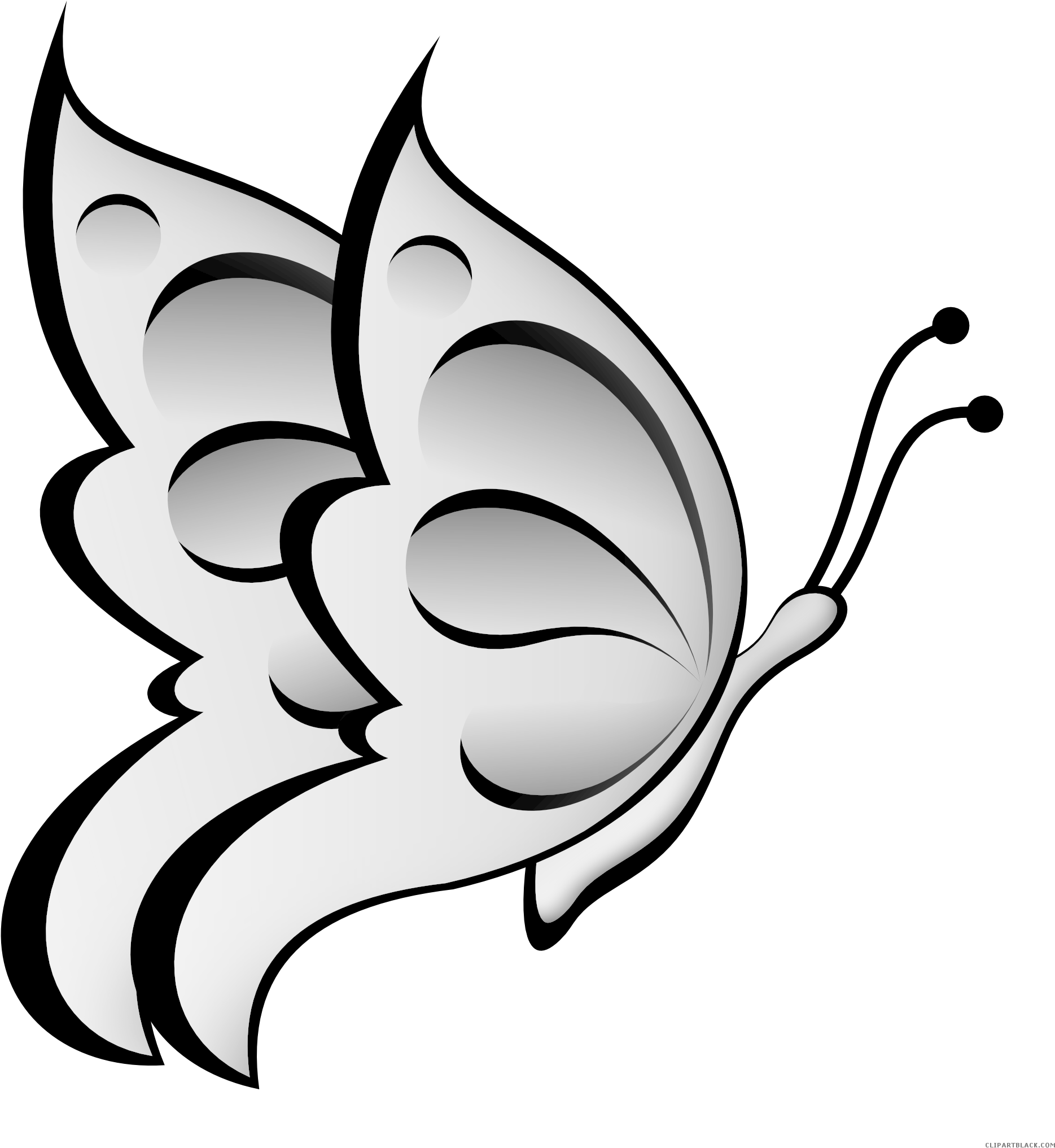 Butterfly Huge Animal Free Black White Clipart Images - Butterfly Clip Art (1979x2045)