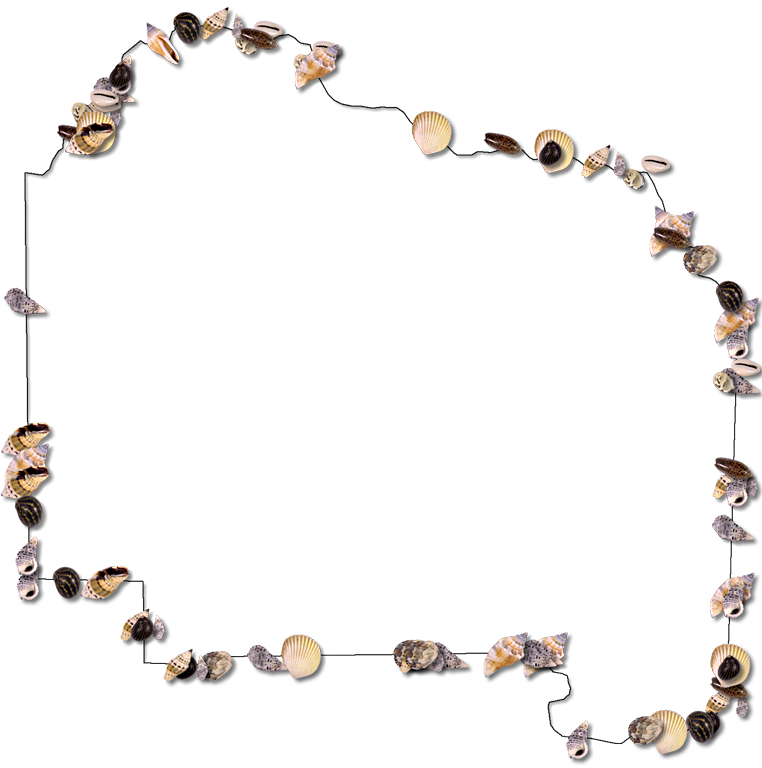 A Map Of Alachua With A Thin Black Outline, Inner Drop - Picture Frame (762x768)