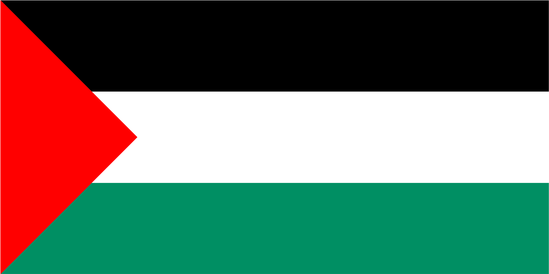 Download Free High-quality Palestine Flag Png Transparent - Palestinian Flag (1920x1200)