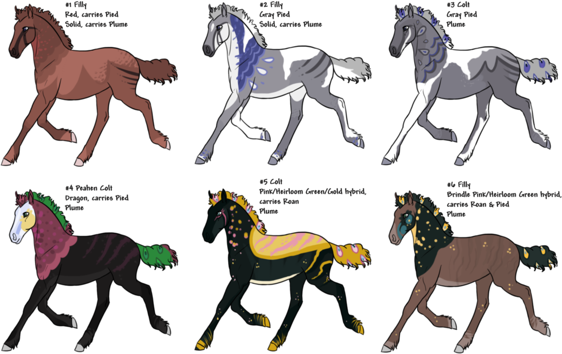 Foal Stallion Mustang Colt Mare - Foal (1109x720)