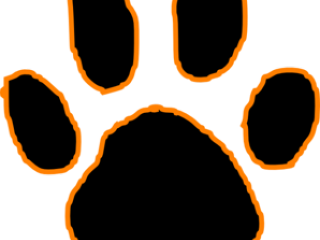 Tiger Print Clipart Cartoon - Clip Art (640x480)