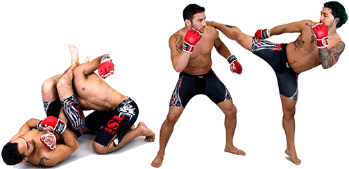 Mixed Martial Artist Clipart Transparent - Sanshou (550x244)