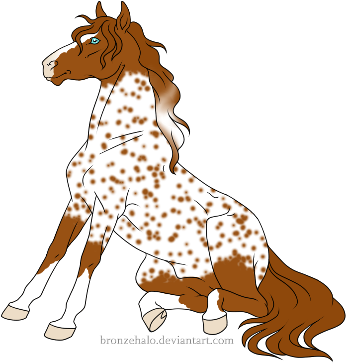 Irish Sport Horse/appaloosa - Irish Sport Horse/appaloosa (741x760)