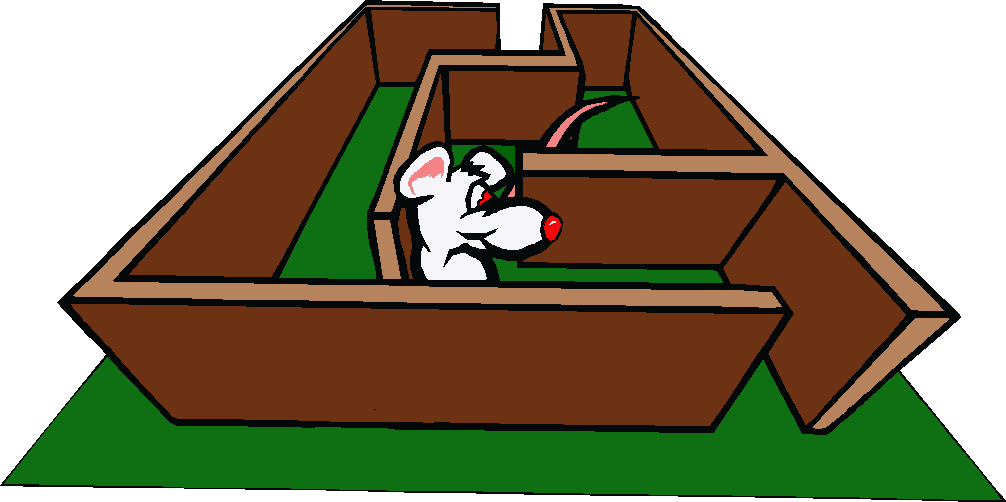 Norway Clipart Fancy - Rat In A Maze Gif (1006x502)