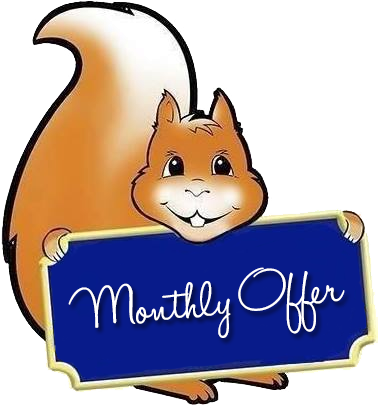 Monthly Offer - Window Blind (378x410)