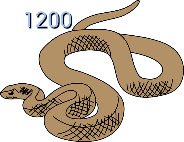 Eastern Brown Snake Reptile Clip Art - Snake Clipart (640x494)