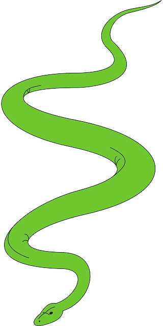 Slither Snake, Green, Garden, Art, Reptile, Slithering, - Cartoon Snake For Snakes And Ladders (320x640)
