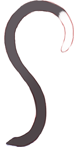 Portable Network Graphics Image Sticker Adobe Photoshop - Sticker (460x753)