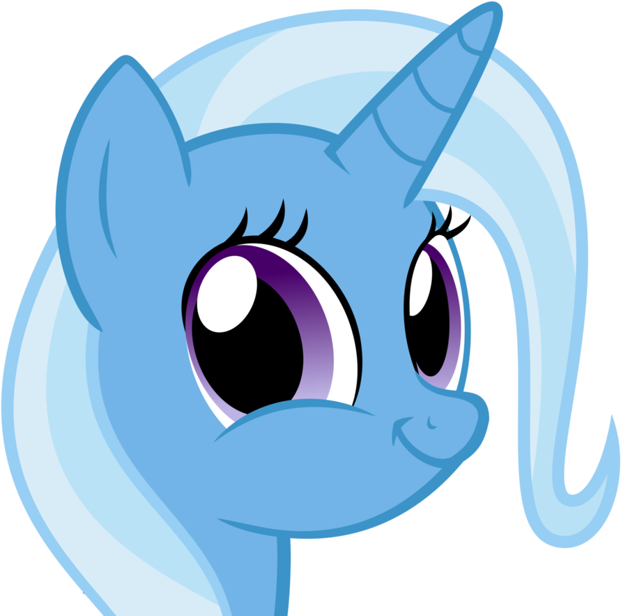 Rainbow Dash Twilight Sparkle Pinkie Pie Trixie Fluttershy - My Little Pony Trixie (894x894)