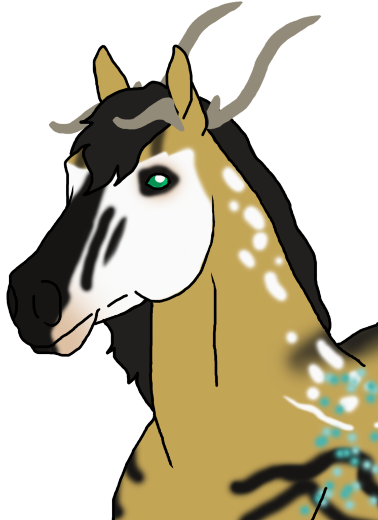 Mane Halter Mustang Foal Donkey - Mountain Goat (758x1054)