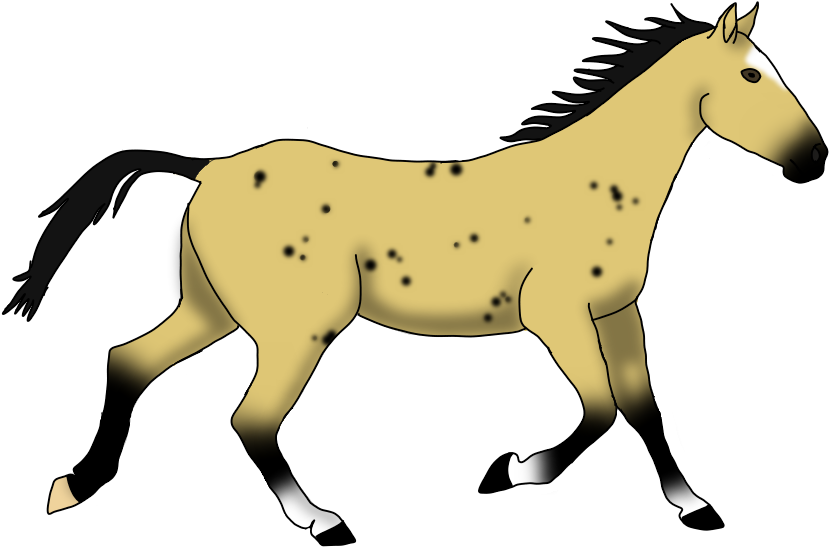 Buckskin Horse Stallion Price - Mane (1024x716)