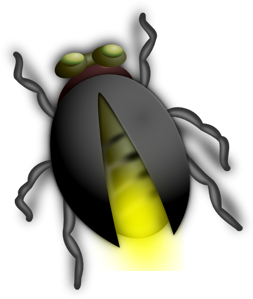 Cartoon Bug Insect Clip Art Car Pictures - House Fly (504x598)