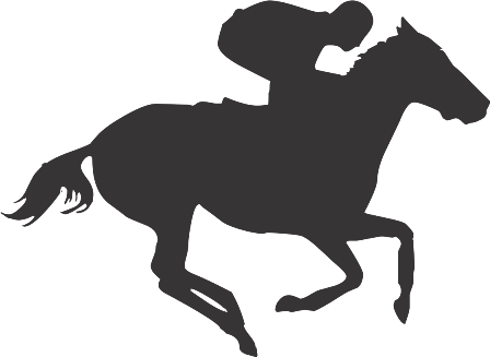 Силуэт Лошади Ar - Horse And Jockey Silhouette (448x327)