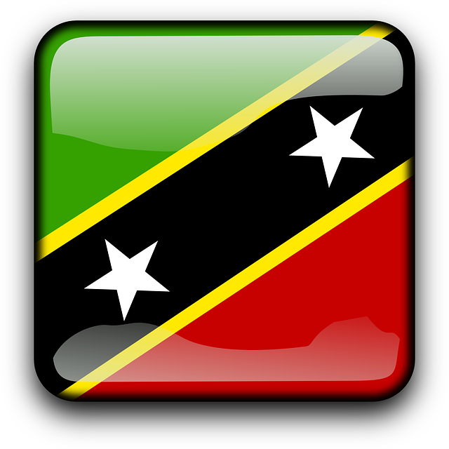 Saint Kitts And Nevis, Flag, Country, Nationality - St Kitts And Nevis Flag (640x640)