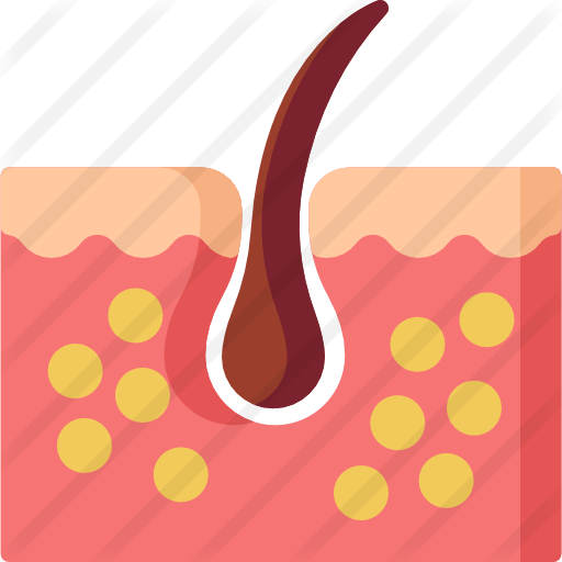 Epidermis Free Icon - Wallpaper (512x512)