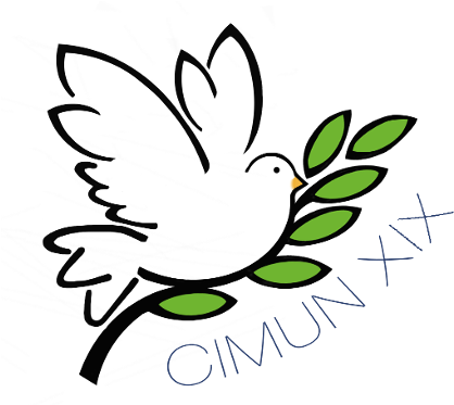 Starting With The Organization Of Chair And Debate, - Cimun (426x372)