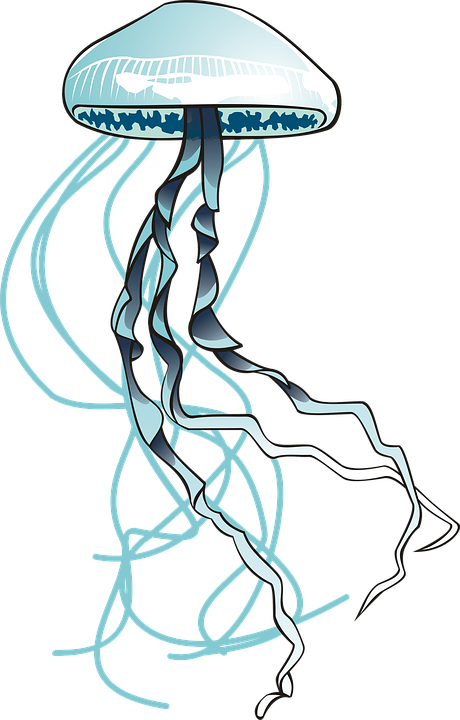 Jellyfish, Sea, Ocean, Water, Filaments, Urticant - Jellyfish (460x720)