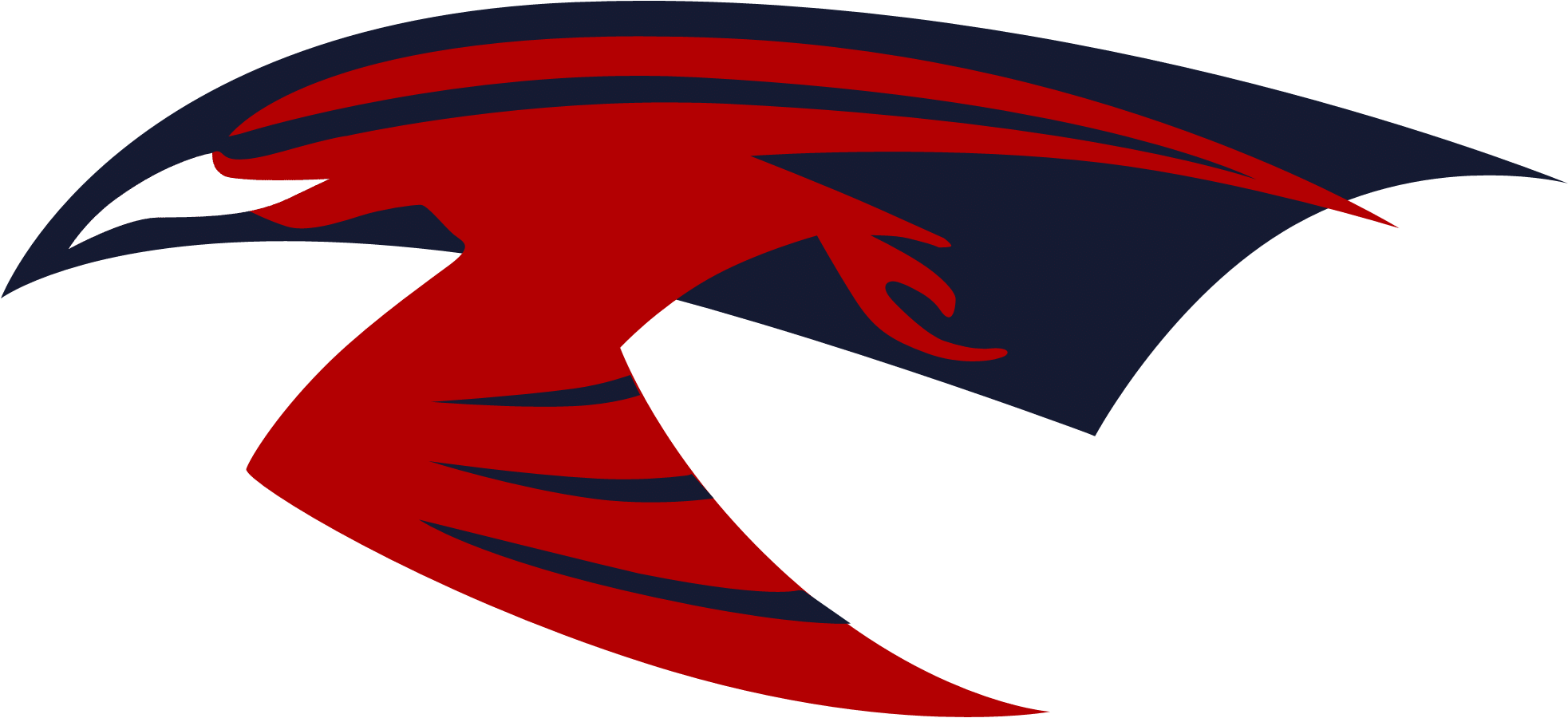 Carolina Skyhawks - Sports League (2000x2000)