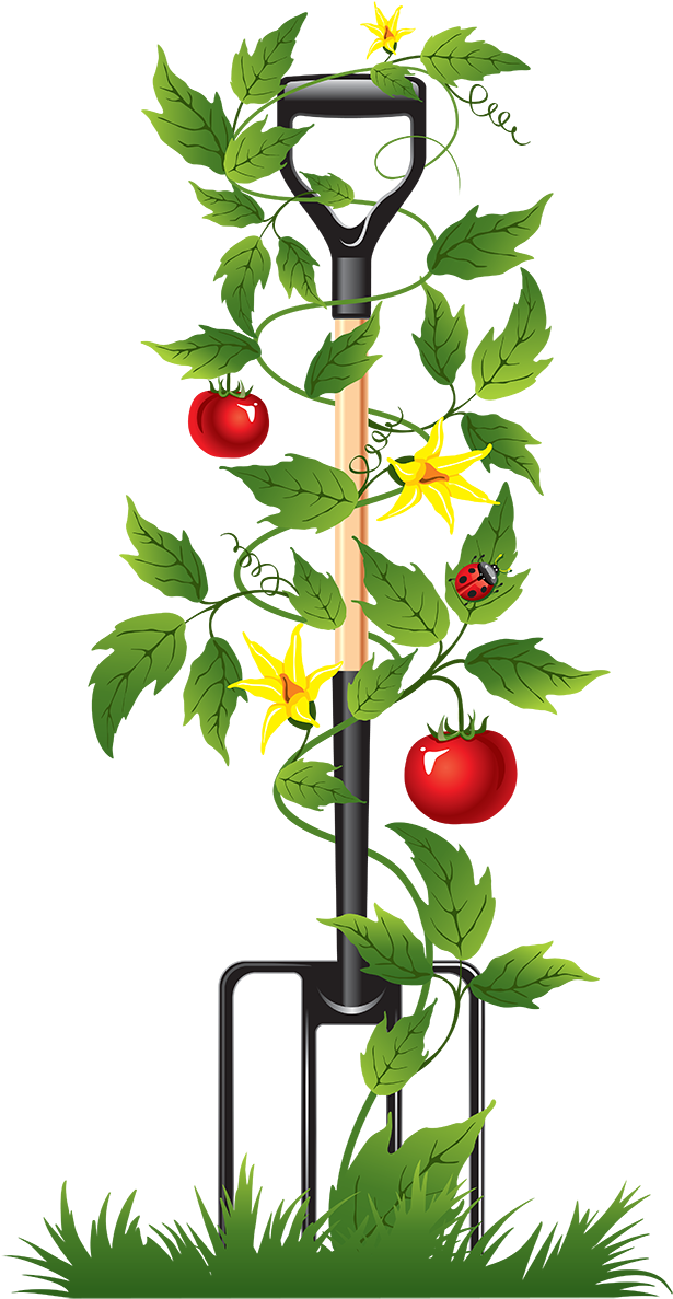 Drip Irrigation Irrigation Sprinkler Controller Water - Hpep-tool-abrasive Brand New Two Dial Home Water Timer (643x1200)