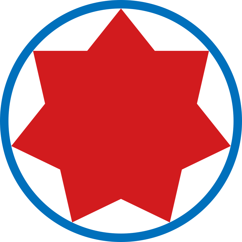 Roundel Of The Georgian Air Force - Georgian Air Force Logo (800x800)