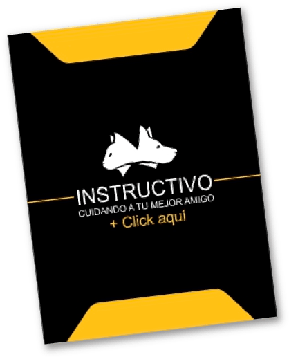 Instructivo Instructivo - Jaguar (424x526)