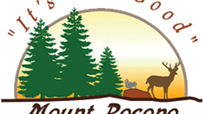 Pine Tree Clip Art (704x396)