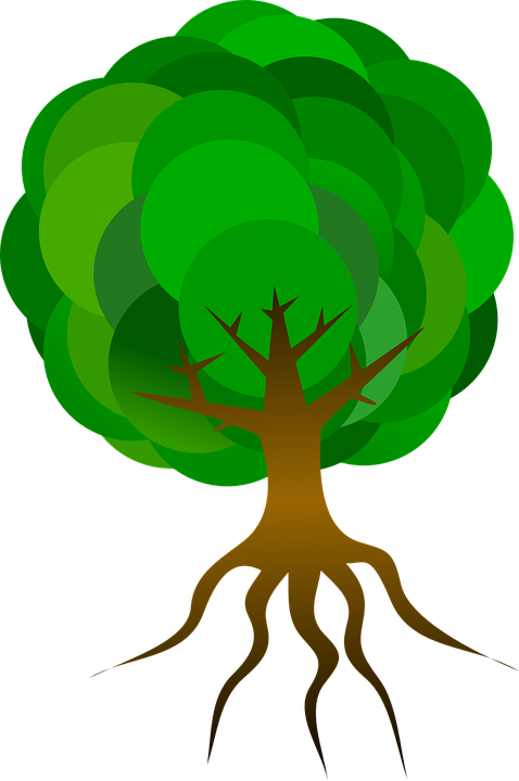 Tree Cartoon Png 28, Buy Clip Art - Cartoon Tree With Roots (478x720)