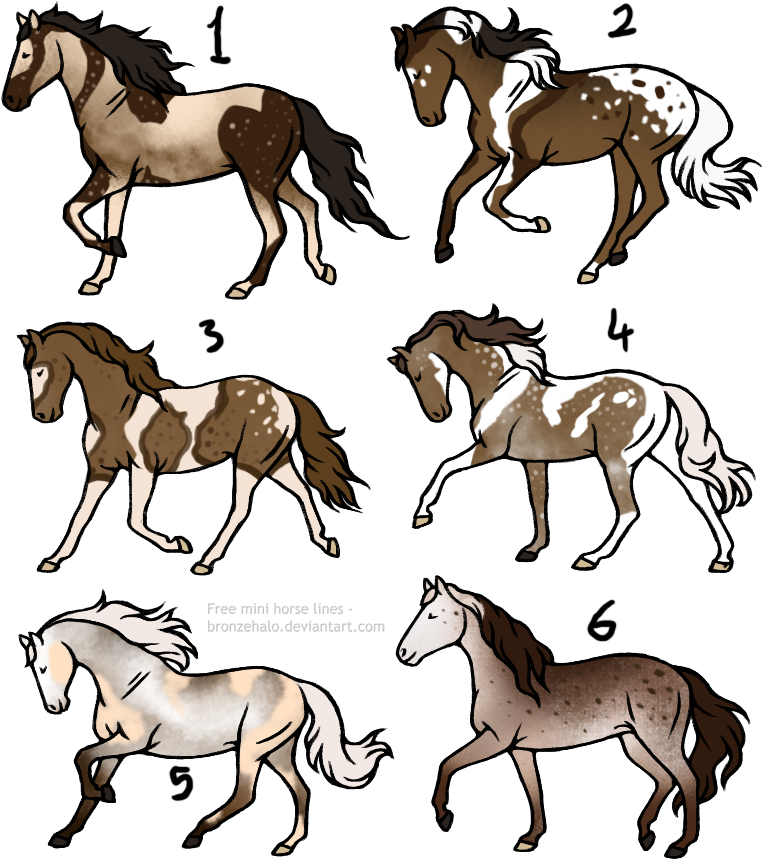 20 Point Horse Adopts [3/6] Open By Theadoptartist - Horse (800x900)