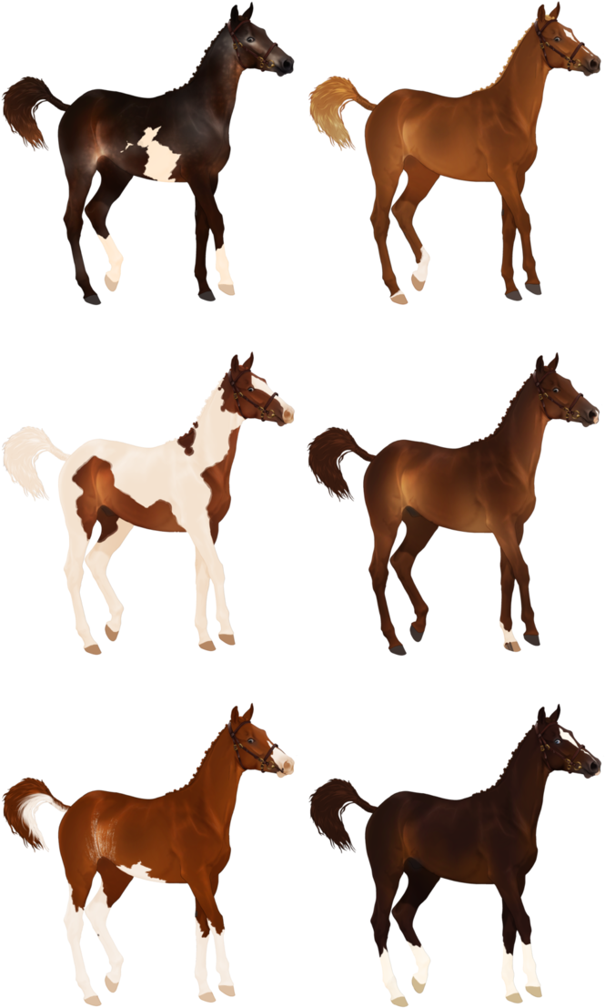 1/6 Reduced Chesnuts Galore - Foal (692x1154)