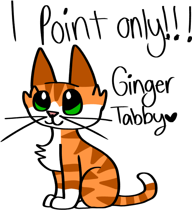 Ginger Tabby Adopt 1 Point - Tabby Cat (800x800)