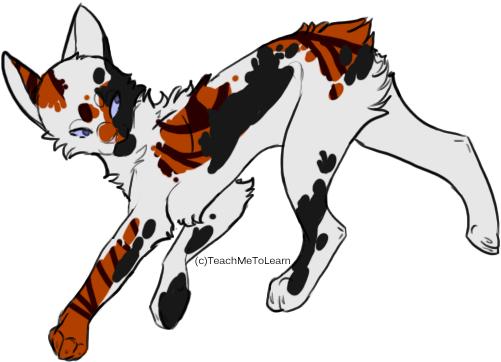 Closed Calico Cat Point Adoptable By Saltyadopts - Calico Warrior Cats (576x576)