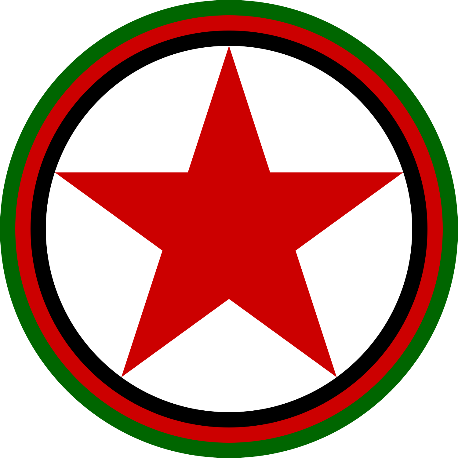Roundel Of The Afghan Air Force - Logos With Black Star (1500x1500)