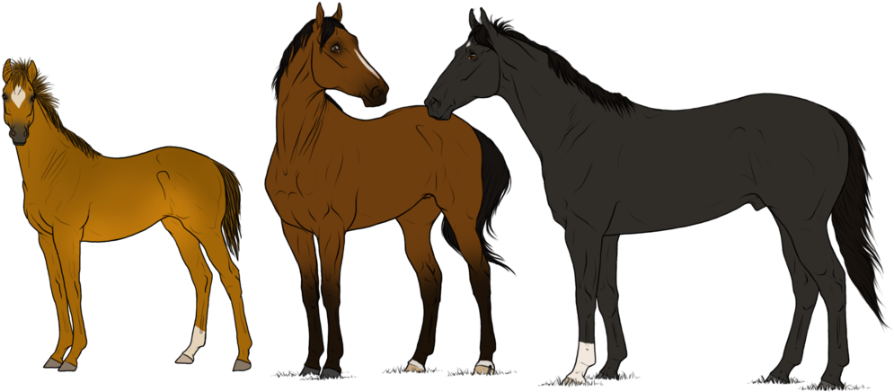 Tb Family Adopt 32 *open* By Angry Horse For Life - Family (1024x477)