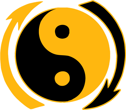 The Ying & Yan Symbol - Circle (800x560)