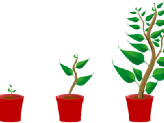 Grow Cliparts - Getting To Know Plants (640x480)