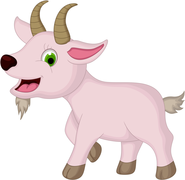 Goat Sheep Cartoon Farm - Goat Cartoon Png (800x779)