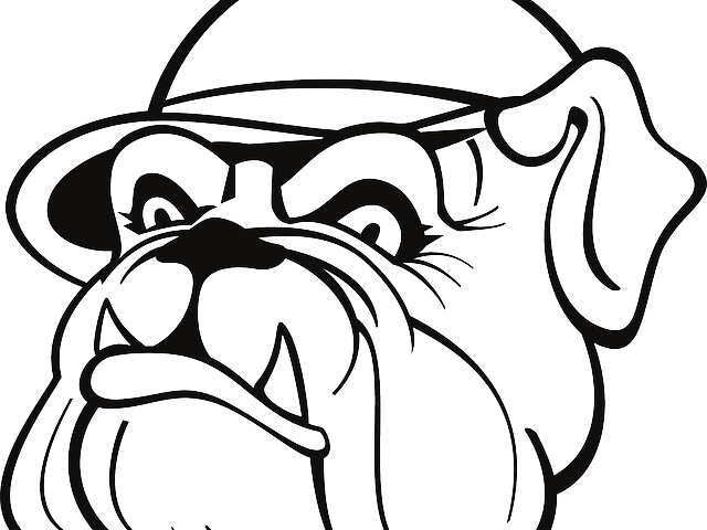 Drawn Bulldog Outline - Bull Dog With A Hat Drawing (640x480)