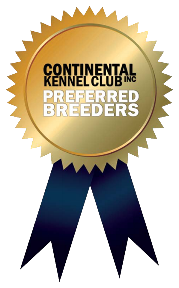 Continental Kennel Club Preferred Breeder - Making A Valedictorian: A Student,teacher And Parent (597x958)