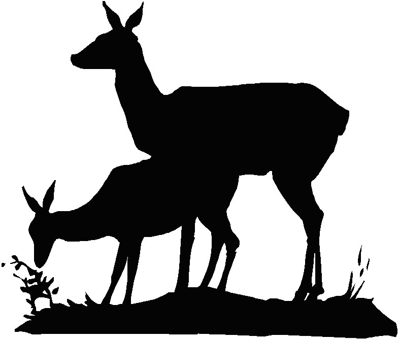 Dear Clipart Spotted Deer - Deer Silhouette (786x668)
