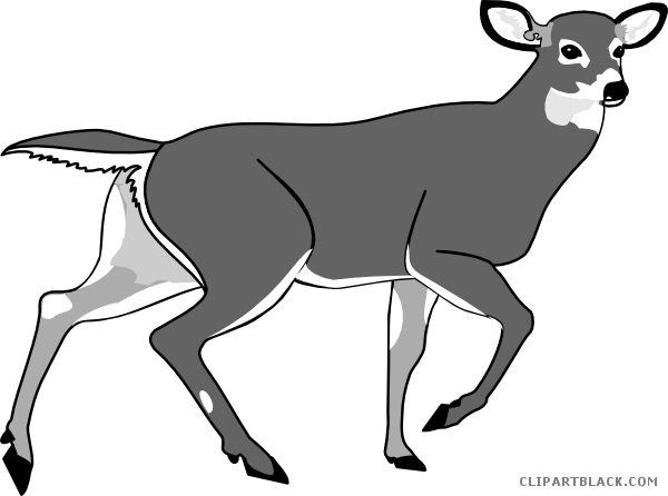 Cute Deer Animal Free Black White Clipart Images Clipartblack - Respiracion Pulmonar En Mamiferos (600x446)