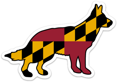 Old German Shepherd Dog (530x335)