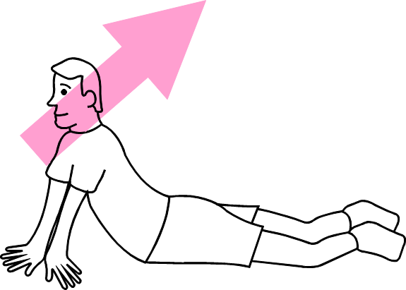 Stretch Cobra - Stretch Cobra (575x411)