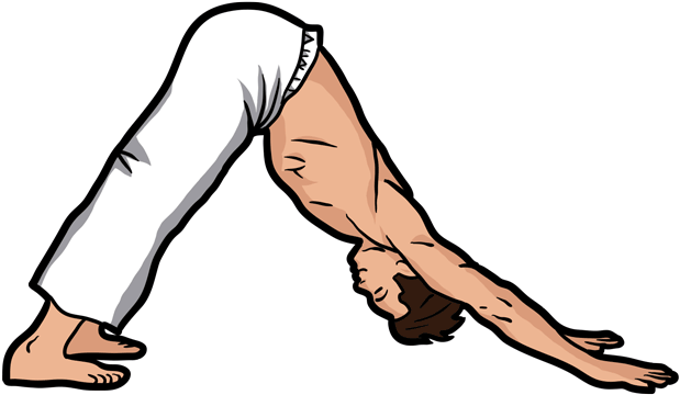 Man Doing Downward Facing Dog - Adho Mukha Śvānāsana (660x415)