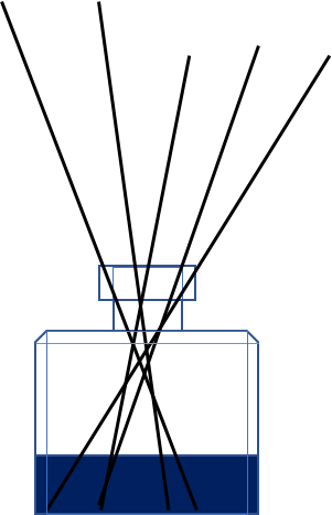 Diagram (301x467)