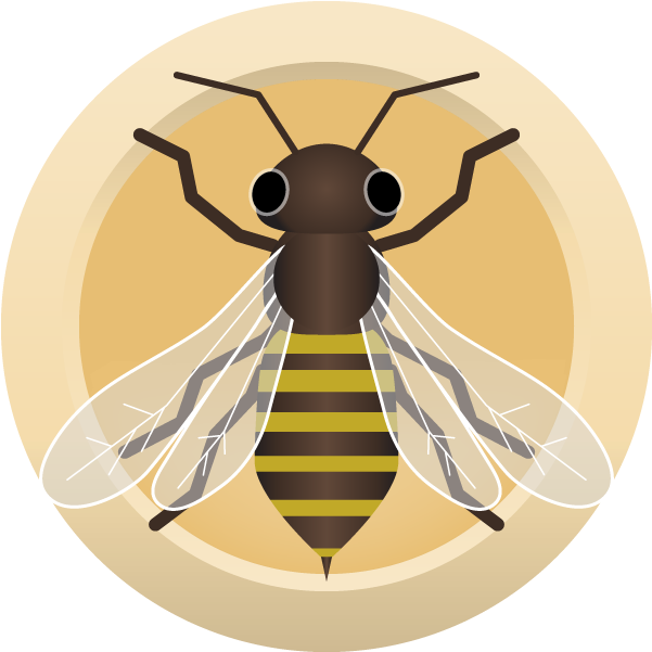 Ahs Honey Blonde - Honeybee (800x600)