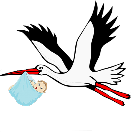 Obstetrics And Gynecology - Want A Baby From You (456x437)