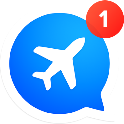 Travelhomie Logo - Wide-body Aircraft (395x401)