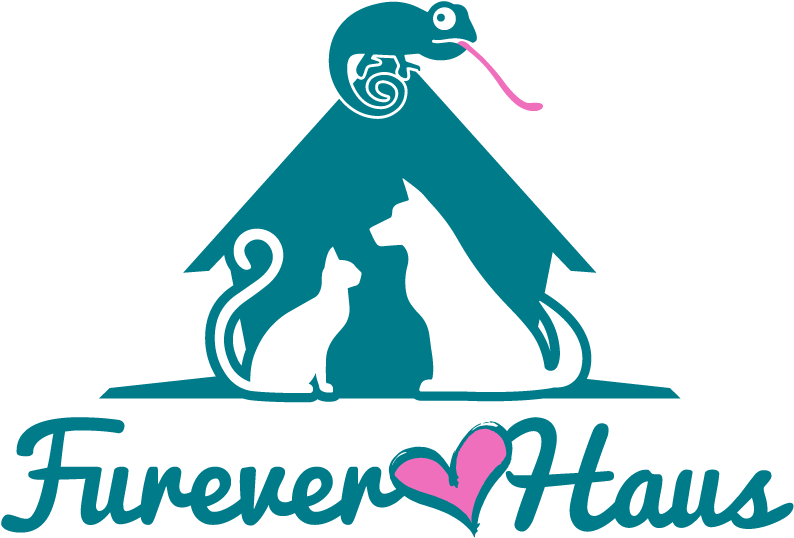 Furever Haus - Rv Living Freedom: Beginner's Guide To Living In A (864x578)